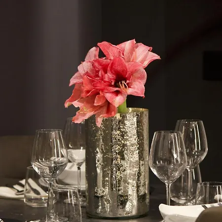 Azulis Terme 1 - Luxury Renovated In Center With Garden דירה *